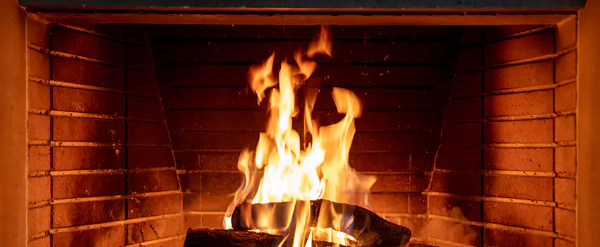 Soot Cleanup Services in Alta Mira, AZ